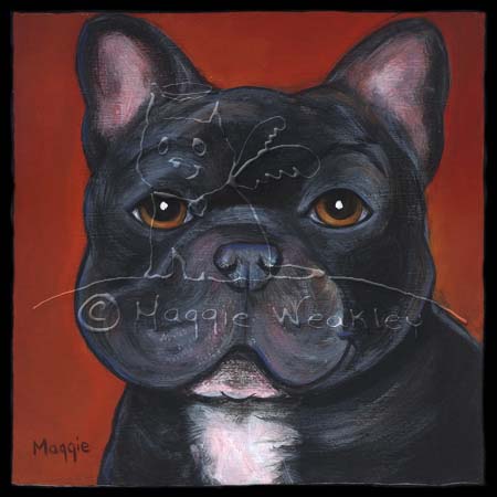 FrenchBulldog