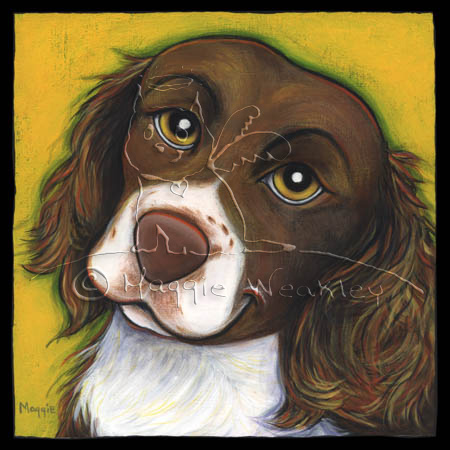 DukeSpringerSpaniel