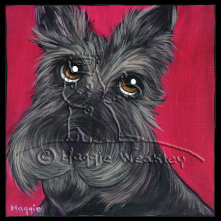 Scottish Terrier