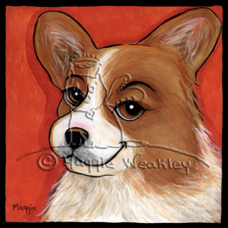 Welsh Corgi