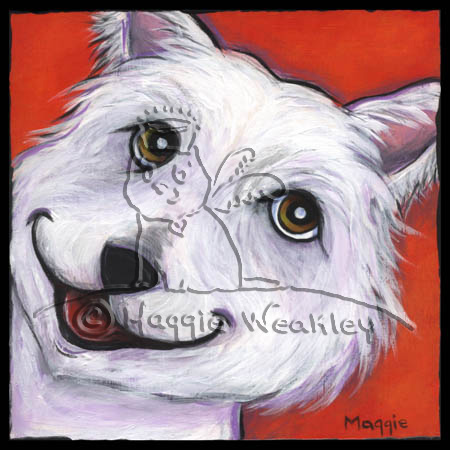 White Westhighland Terr0029