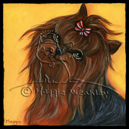 Yorkshire Terrier