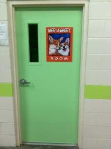 FinishedDoor