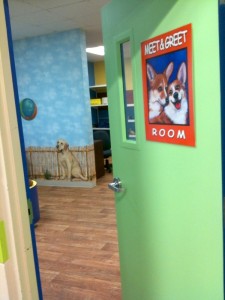 OpenDoor